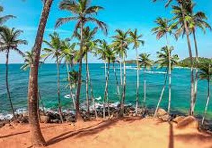 Sri Lanka Tur Paketi - 7 Gece / 8 Gün